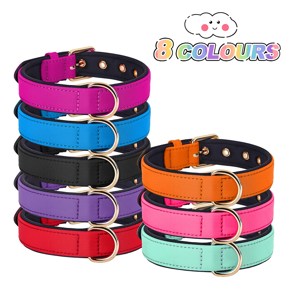coleira de nylon acolchoada para cães