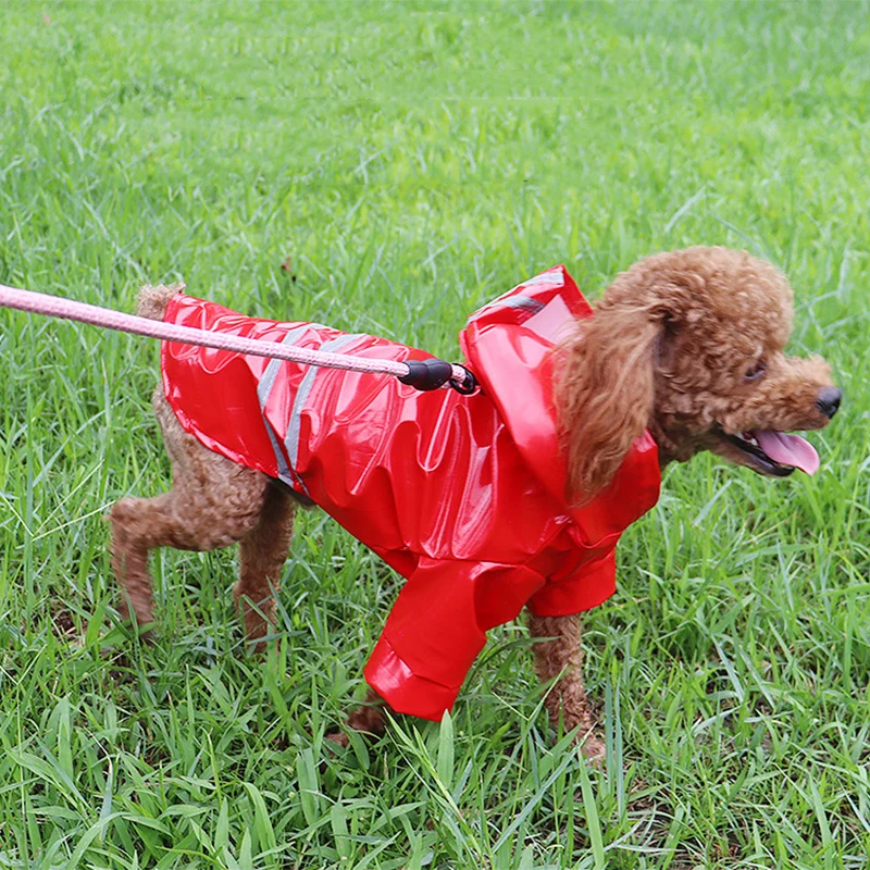 Capa de Chuva para Cães Reflexiva com Faixa para Passeio Noturno - Imagem 3