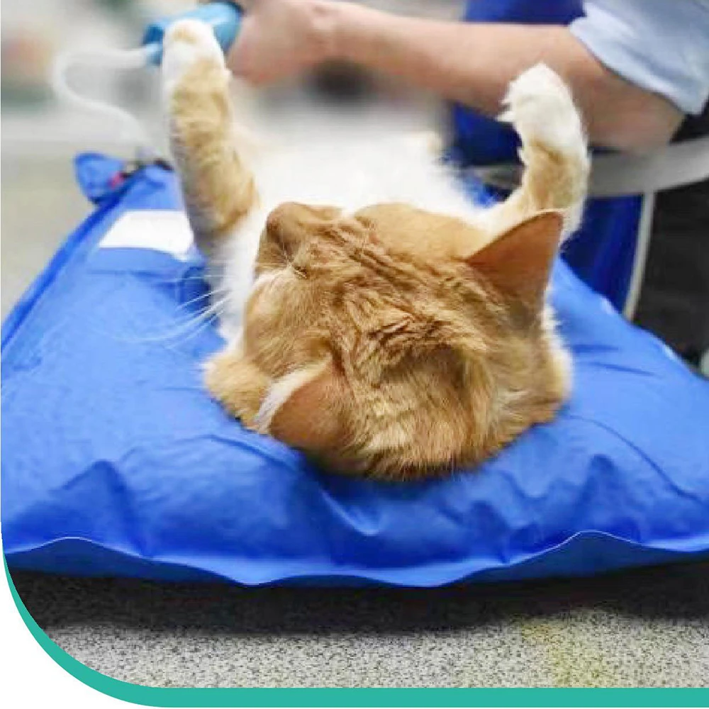 Tapete de Posicionamento para Exame Veterinário Pequeno - Image 6
