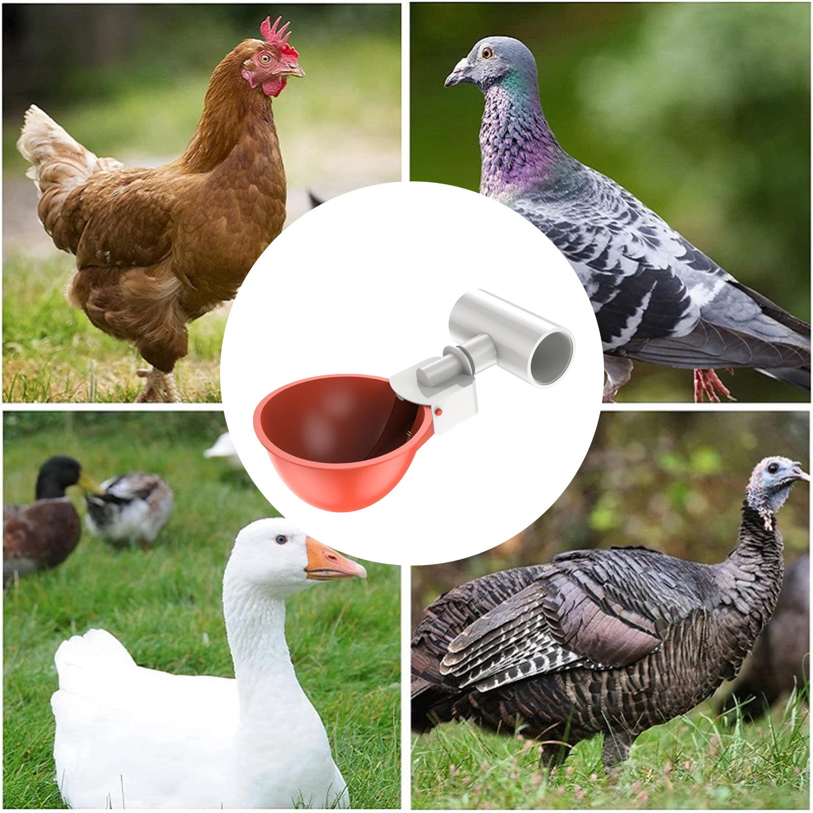 Copo Bebedouro Automático para Aves com Conexão em Tubo PVC - Imagem 4