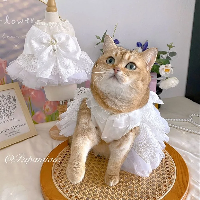 Vestido Princesa para Cães Pequenos Branco com Saia - Imagem 4