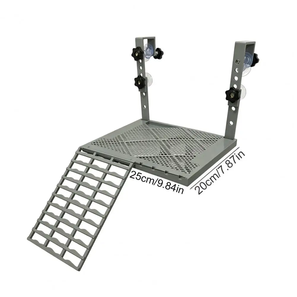 Plataforma Suspensa para Tartarugas com Ventosas e Rampa Antiderrapante - Image 6