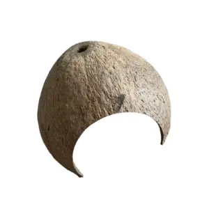 toca de coco para réptil