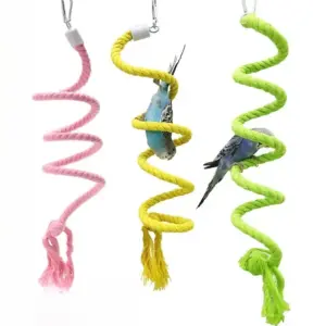 brinquedo espiral de corda para pássaros