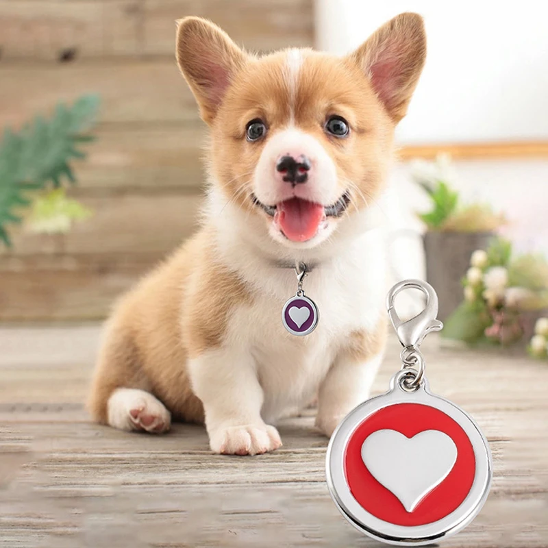 Etiqueta de Identificação para Cães de Metal Personalizável com Gravação a Laser - Image 5