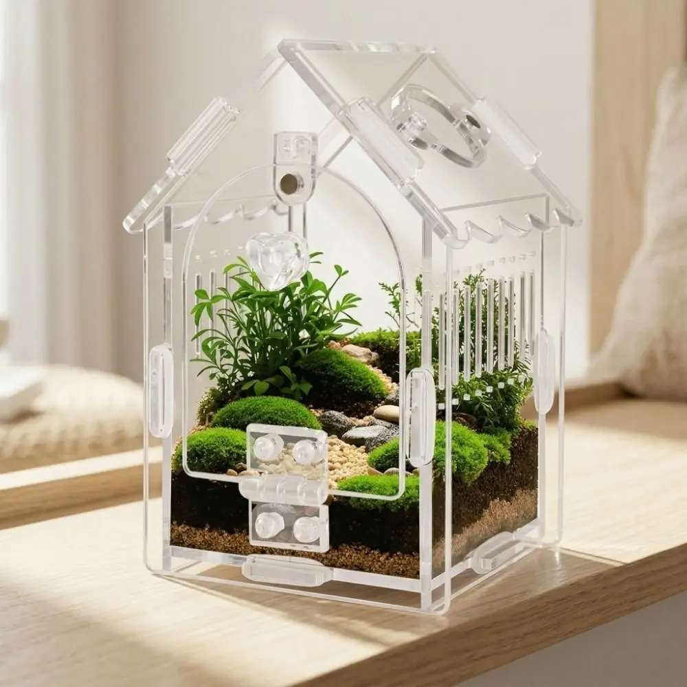 Terrário para Aranha Saltadora com Abertura Frontal Removível - Imagem 4