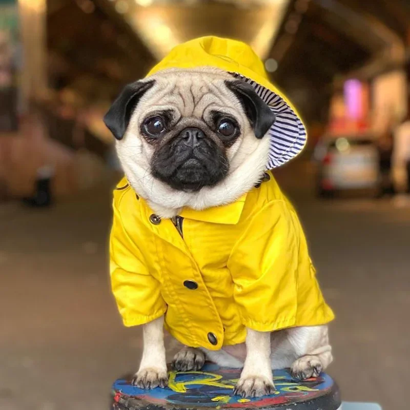 Capa de Chuva para Cães Pequenos e Médios Estilo Fashion - Image 4