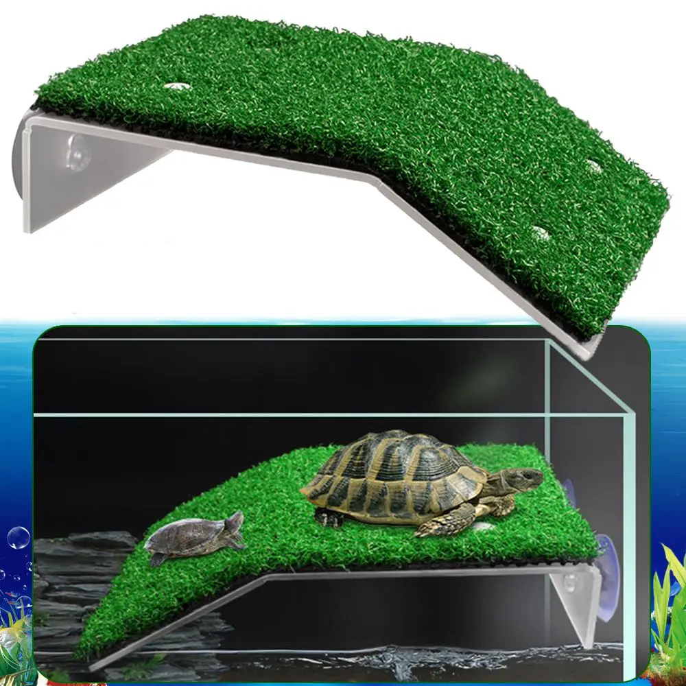plataforma de basking para tartarugas