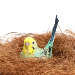 fibra de coco para ninho de pássaros
