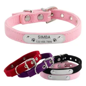 coleira de veludo para gato personalizada