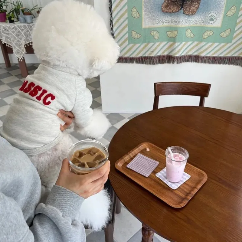 Moletom Pulôver para Cães Pequenos de Inverno Cinza Claro - Imagem 4