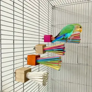 brinquedo de madeira para papagaio