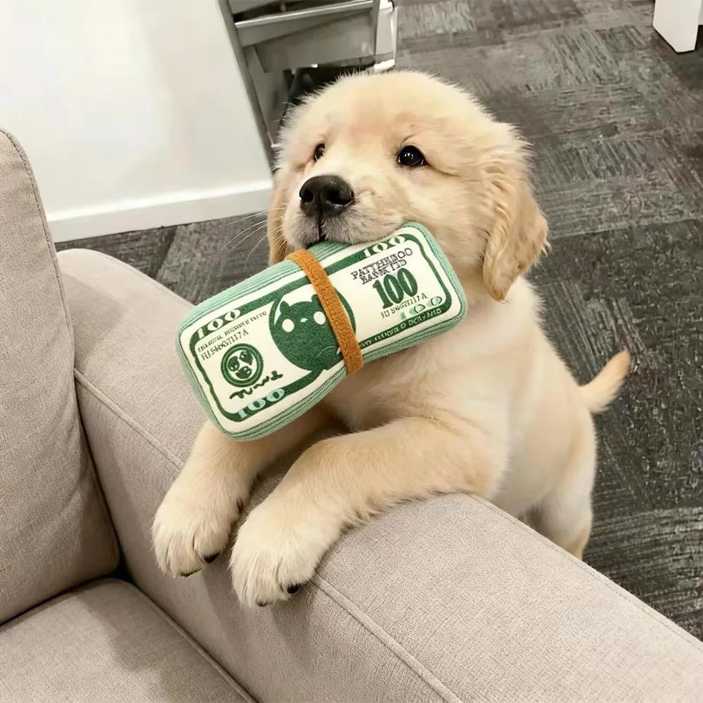 brinquedo sonoro para cães e gatos
