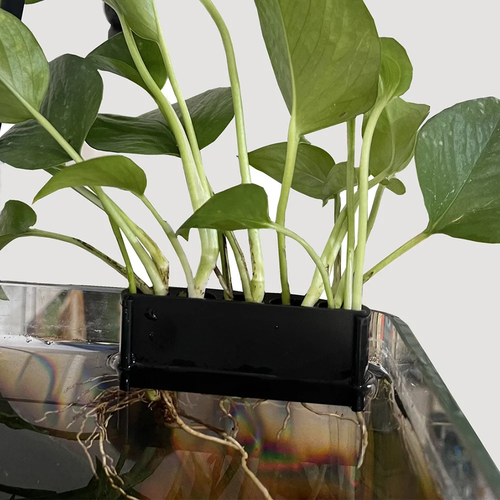 Suporte de Planta de Aquário com Gancho Integrado para Fixar no Vidro - Imagem 6
