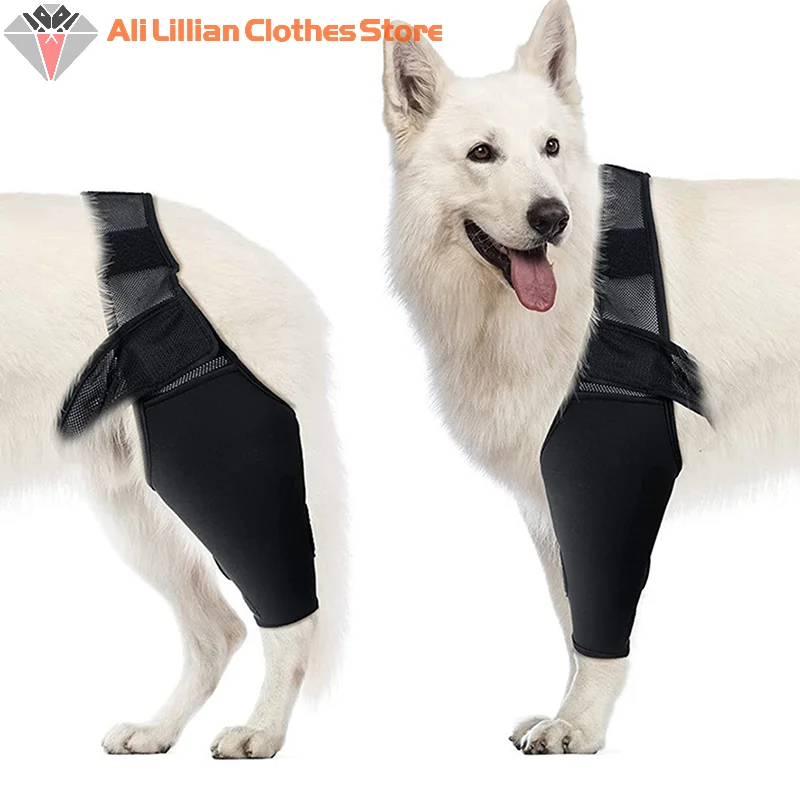 Joelheira para Cães de Neoprene com Adesivos Mágicos Ajustáveis - Image 5