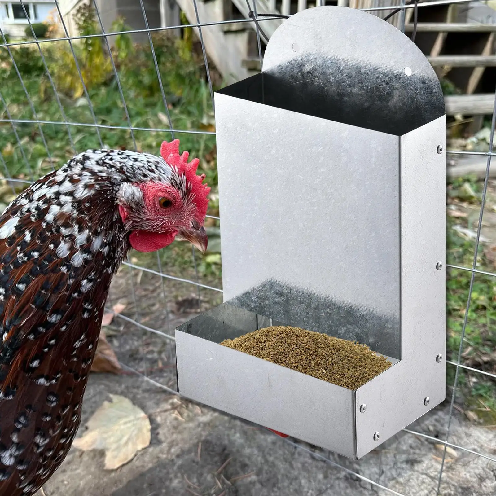 Alimentador Automático para Aves de Aço com Montagem de Metal - Imagem 4