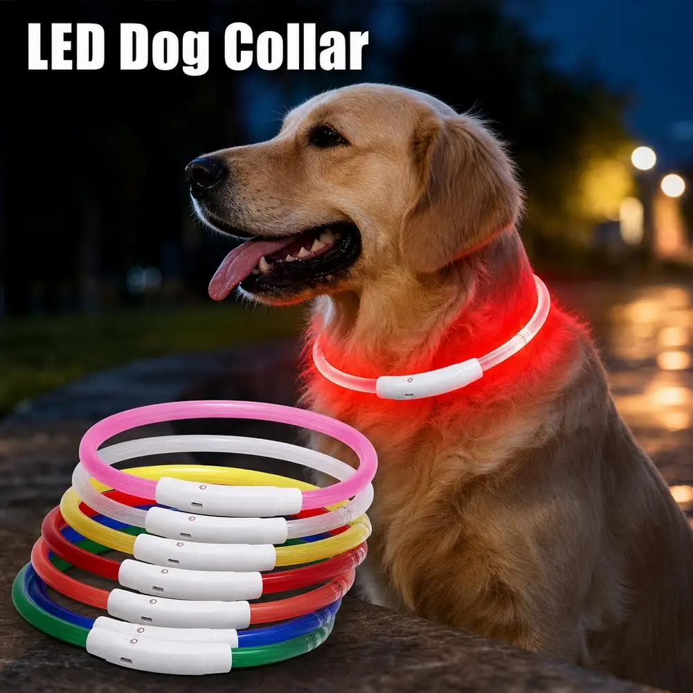 coleira luminosa led para cães
