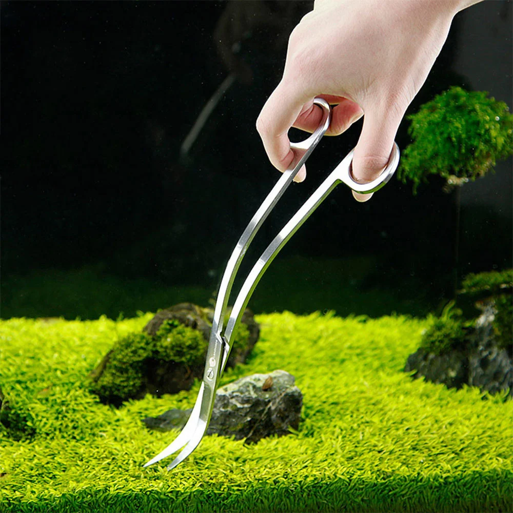 Tesoura para Aquário de Aço Inoxidável 25 cm Reta para Podar Plantas - Imagem 2