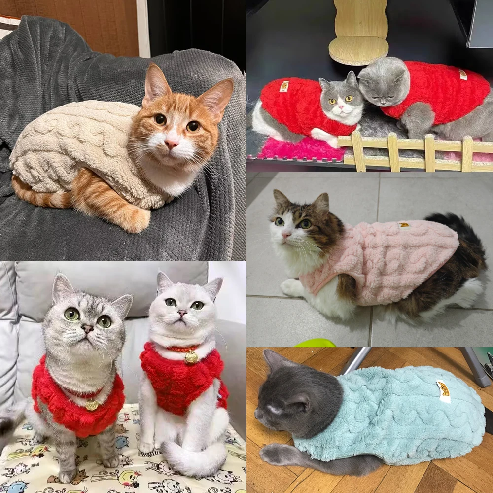 Suéter de Lã para Gatos e Cães Pequenos de Inverno - Imagem 5