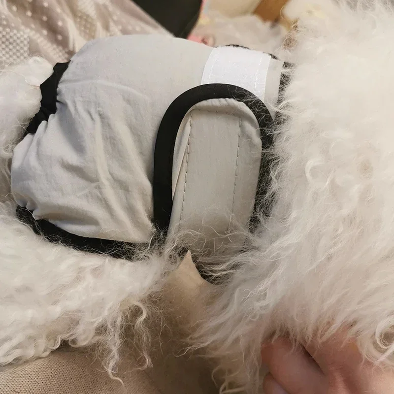 Calcinha Sanitária Lavável para Cães Pequenos e Gatos com Ajuste - Imagem 3