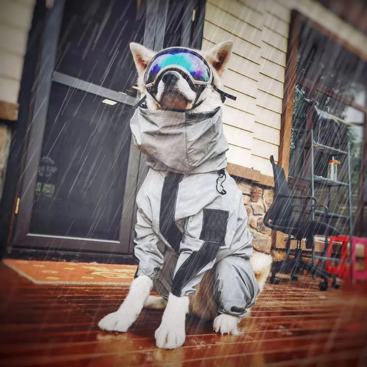 Capa de Chuva para Cães Grande Reflexiva com Capuz e Cintura Ajustável - Imagem 4