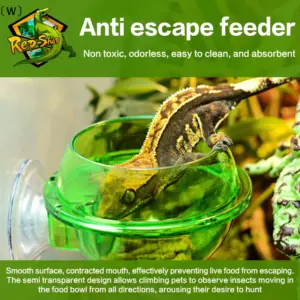 tigela alimentador para répteis com ventosa