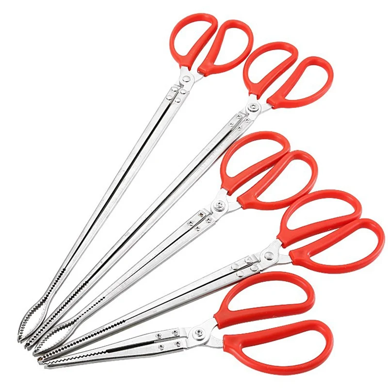 pinça de aço inoxidável para répteis