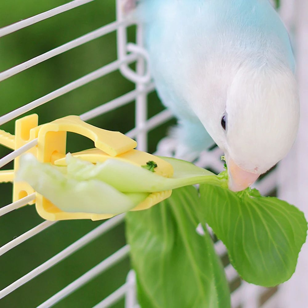 Suporte de Comida para Pássaros de Plástico para Gaiola - Imagem 5