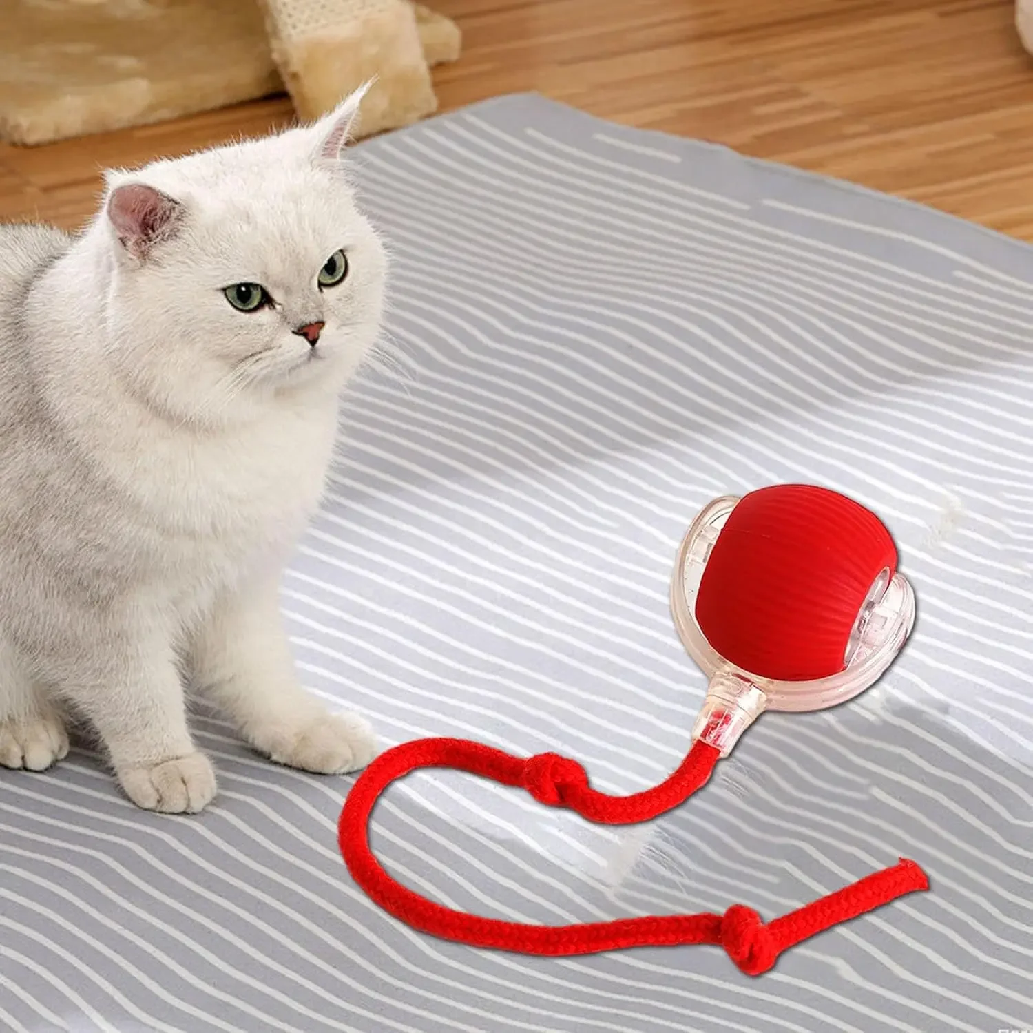 Bola Interativa para Gatos Recarregável USB com Movimento Aleatório - Imagem 5