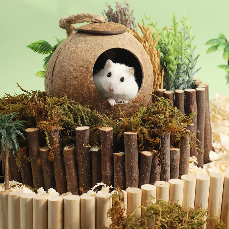 Casa de Coco para Hamster Natural Esconderijo Brinquedo - Imagem 2