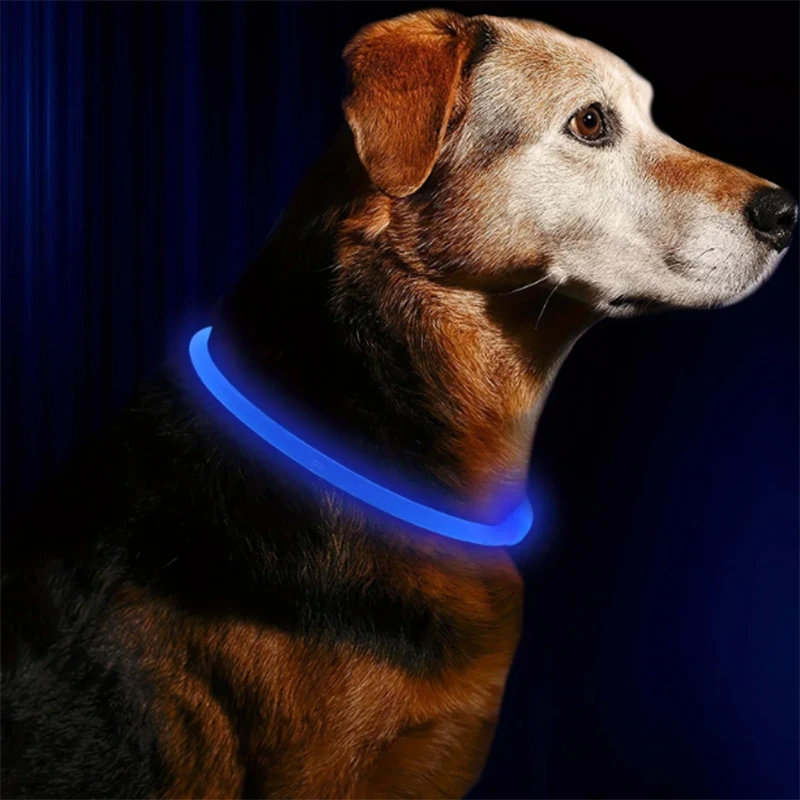 Coleira LED para Cães e Gatos Recarregável USB Luminosa - Image 4