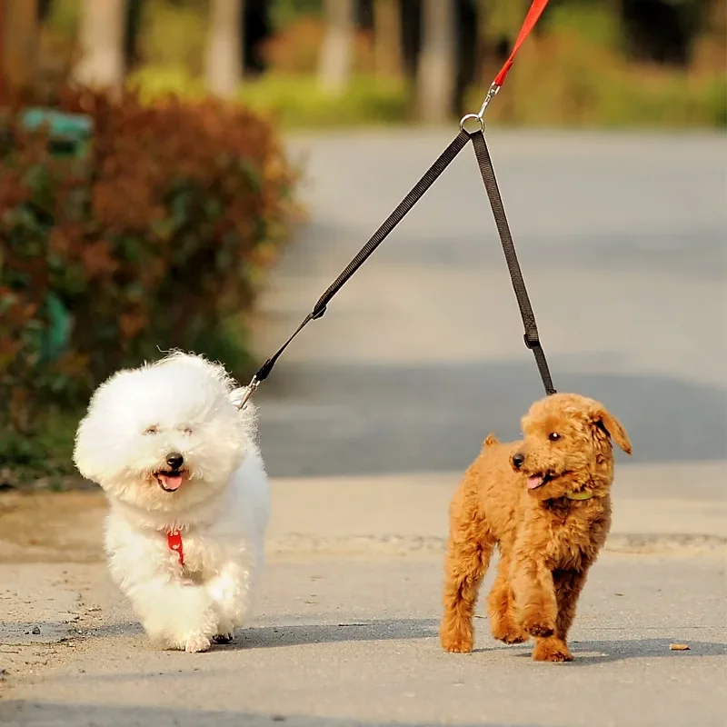Coleira Dupla para Cães Nylon 1.5 cm x 40 cm para Passeio - Imagem 2