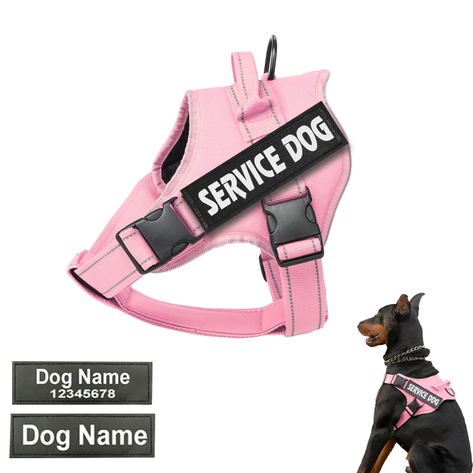 coleira ajustável para cães personalizada