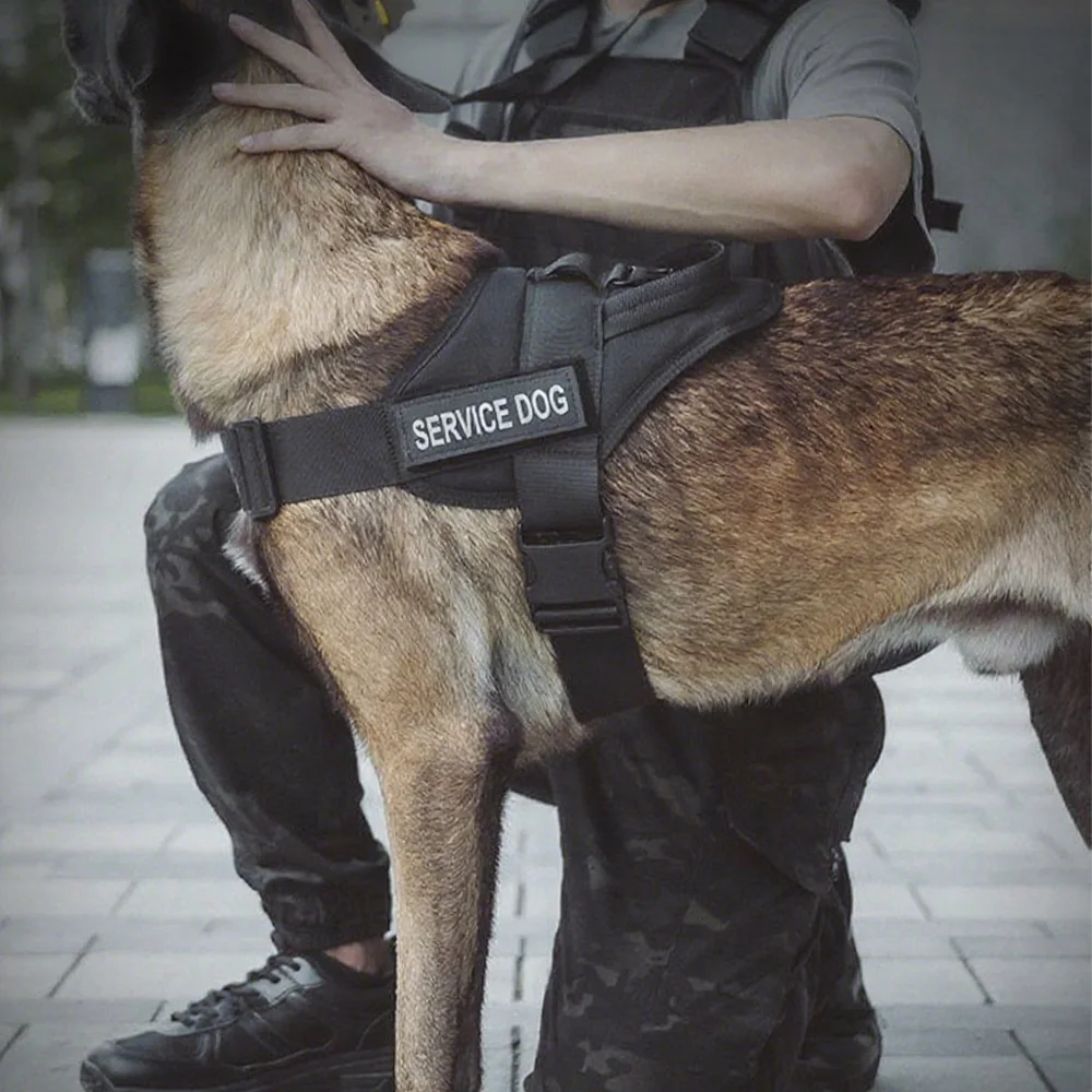 Colete Tático para Cães de Nylon Ajustável com Alça para Controle - Imagem 4