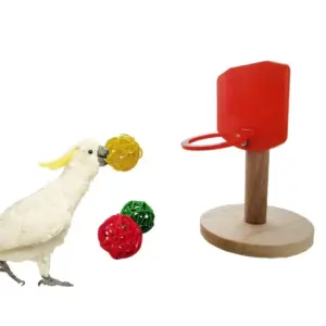 brinquedo de basquete para pássaros