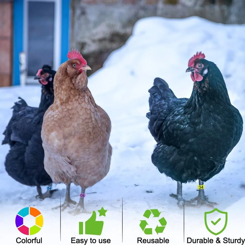 Anéis de Identificação para Aves 1.6cm com Numeração e Clipe - Imagem 6