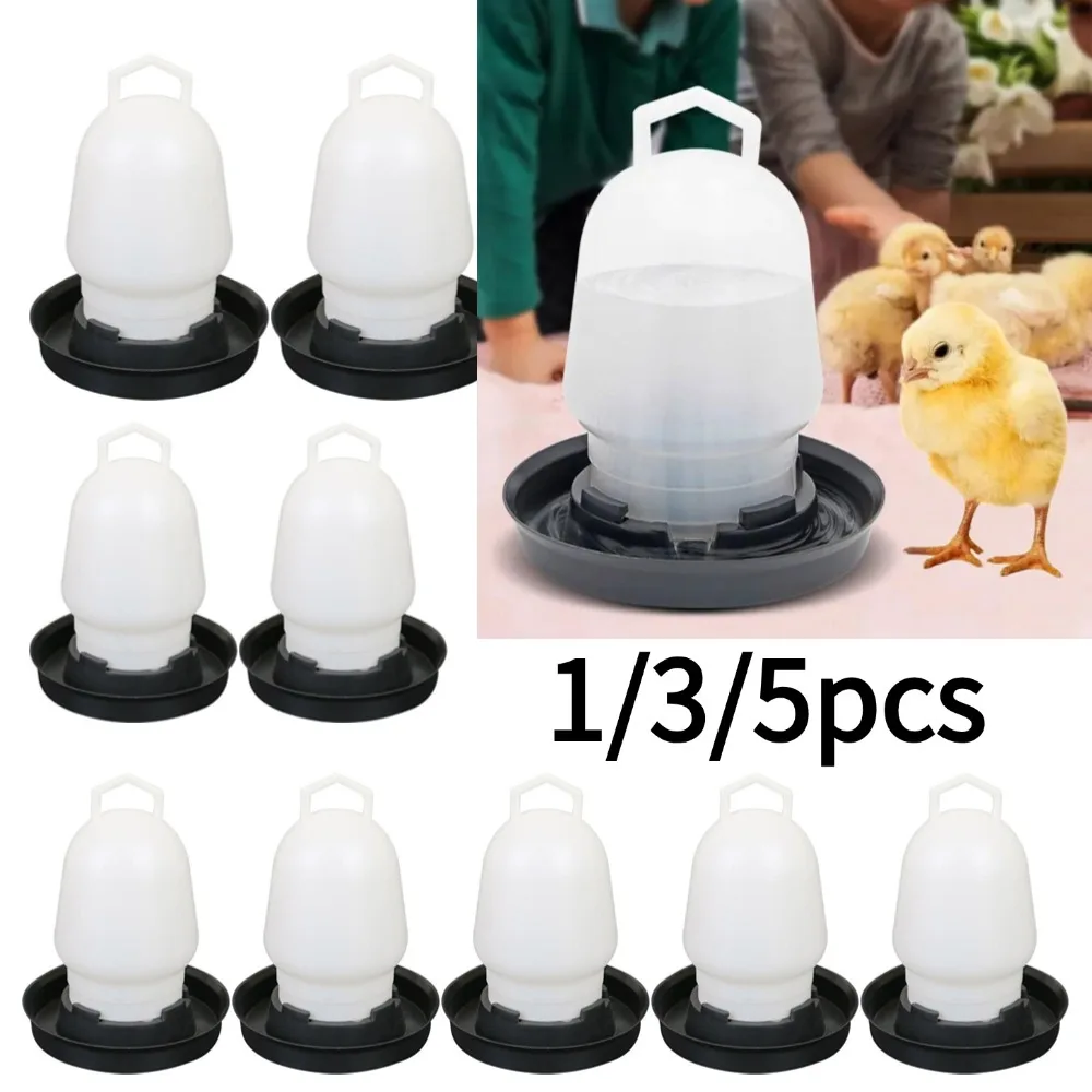 bebedouro automático para aves
