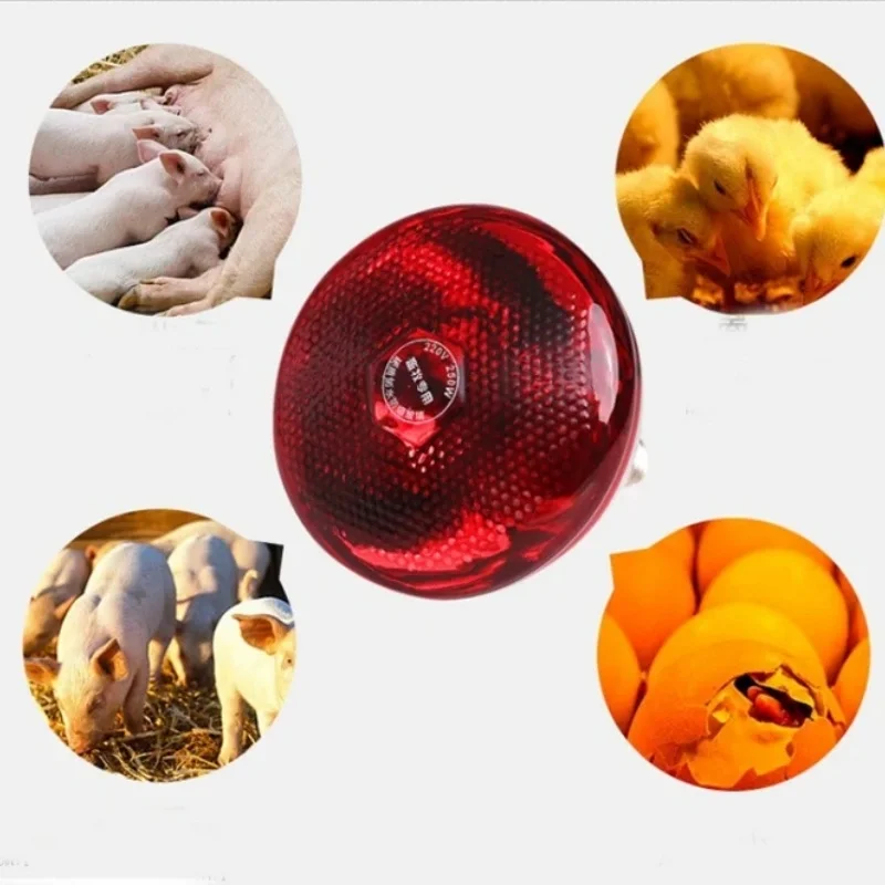 Lâmpada de Aquecimento para Aves E27 100W a 275W Infravermelha - Imagem 2
