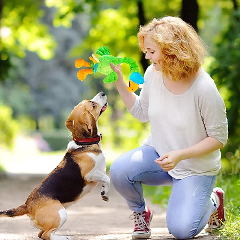 Brinquedo para Cães Galinha Gritante Interativo Resistente a Mordidas - Imagem 3