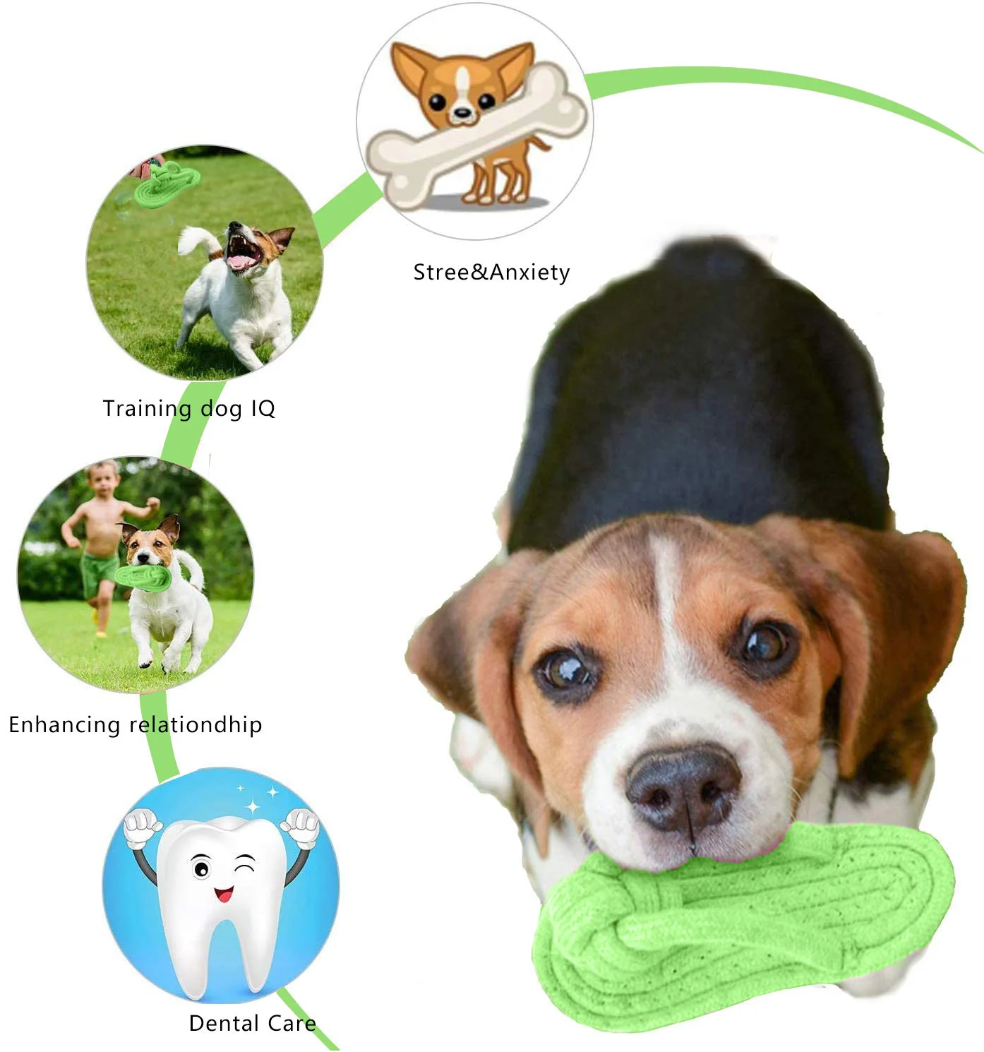 Brinquedo de Mastigar para Cães de Corda de Algodão em Formato de Chinelo - Imagem 5