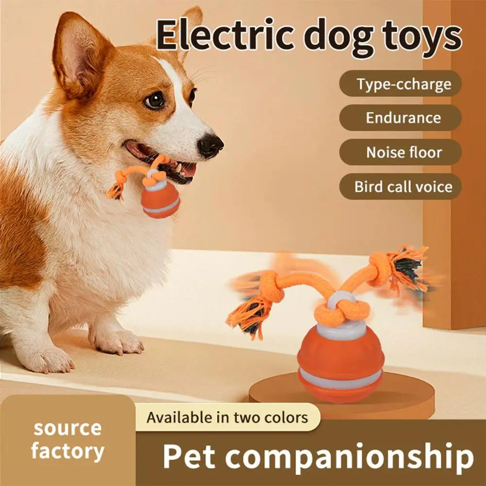 Bola Interativa para Cães Filhotes e Pequenos Recarregável USB - Imagem 2