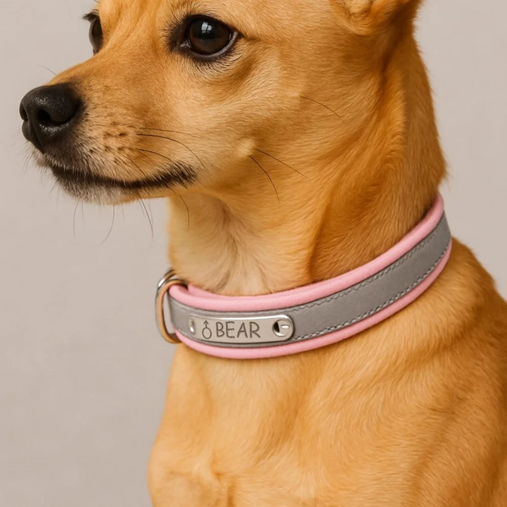 Coleira Refletiva para Cães Personalizada com Placa de Identificação - Imagem 5