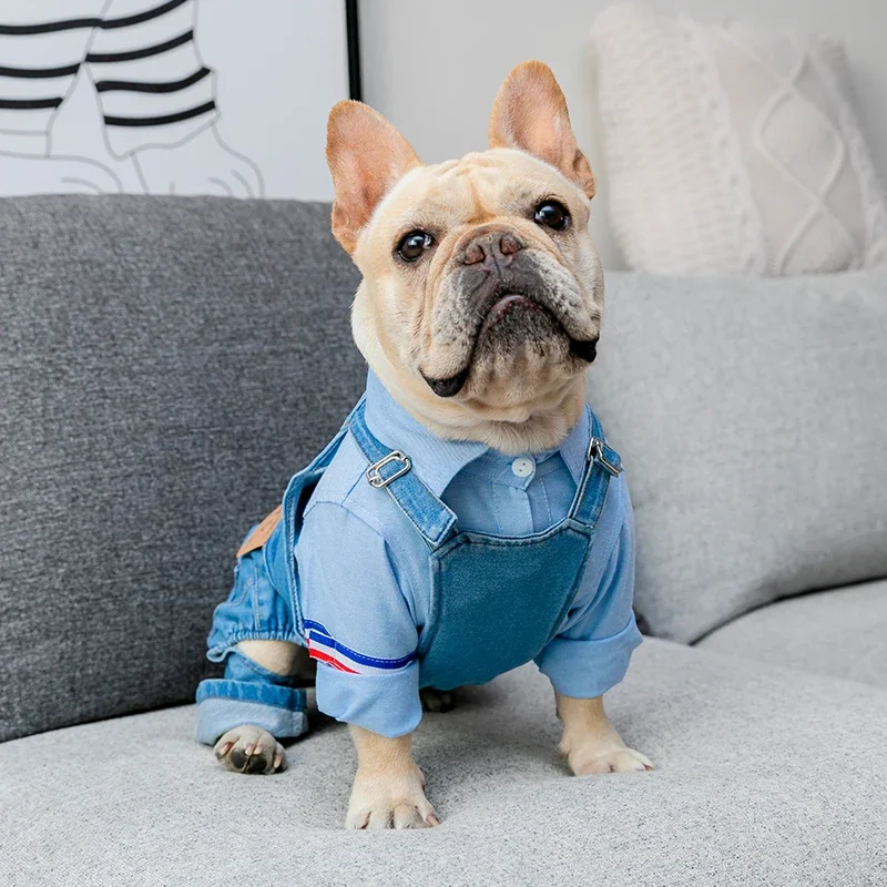 Casaco Jeans para Cães Outono Inverno, Moda Pet - Imagem 3