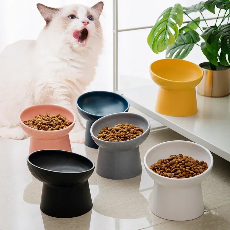 Tigela Elevada para Cães e Gatos de Cerâmica Fosca com Suporte - Image 5