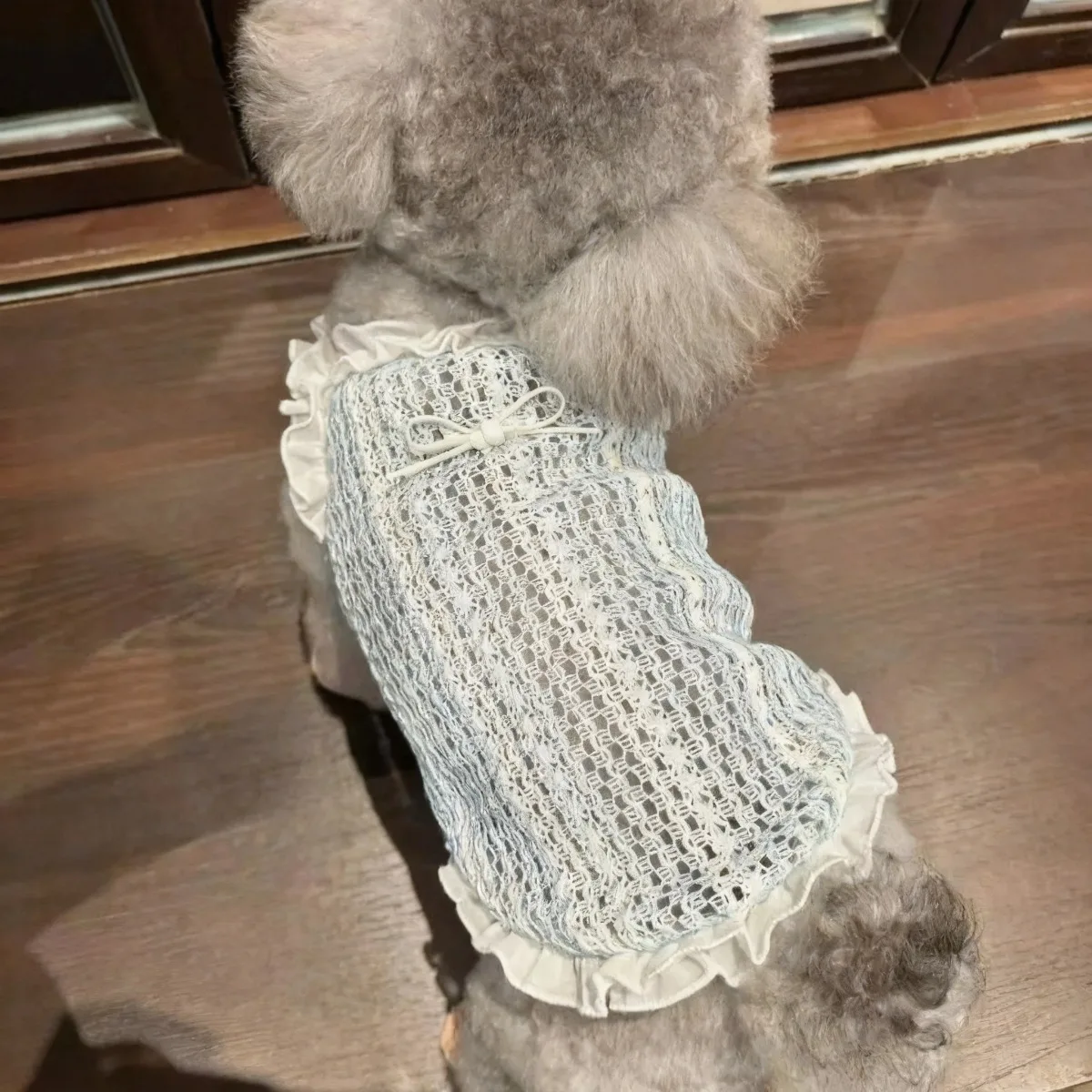Colete de Verão para Cães e Gatos Pequenos Tamanho XXL - Image 6