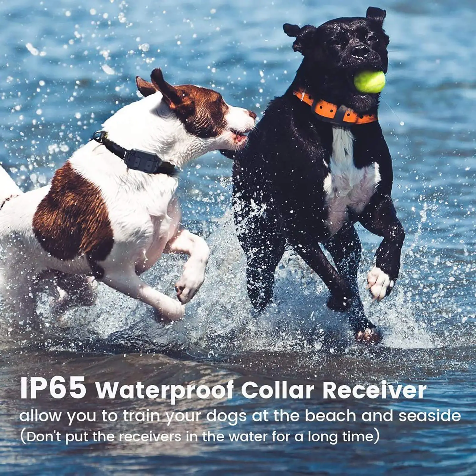 Coleira para Cães Recarregável USB com Níveis de Vibração Ajustáveis - Imagem 5