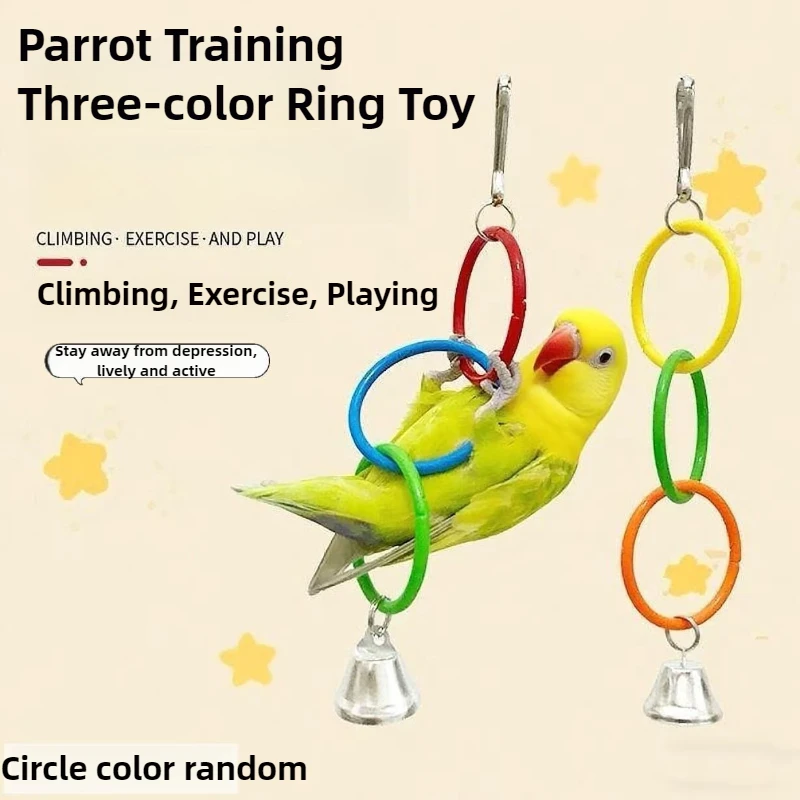 brinquedo balanço para pássaro