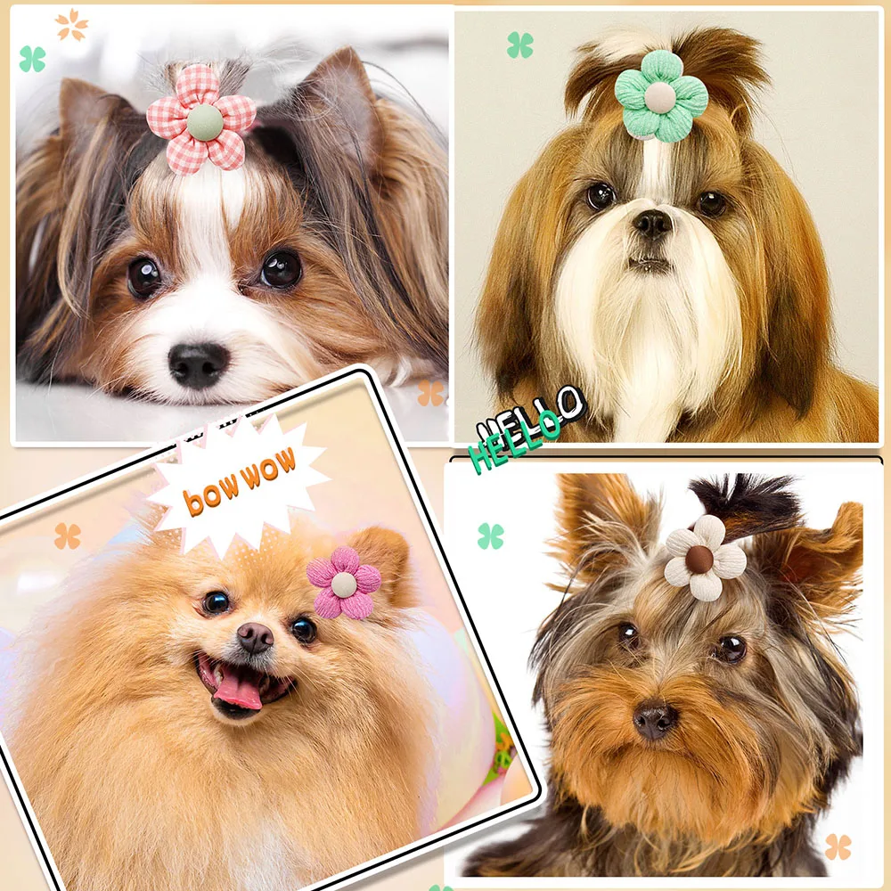 Acessórios de Cabelo para Cães e Gatos, 10 Flores com Elástico - Image 3
