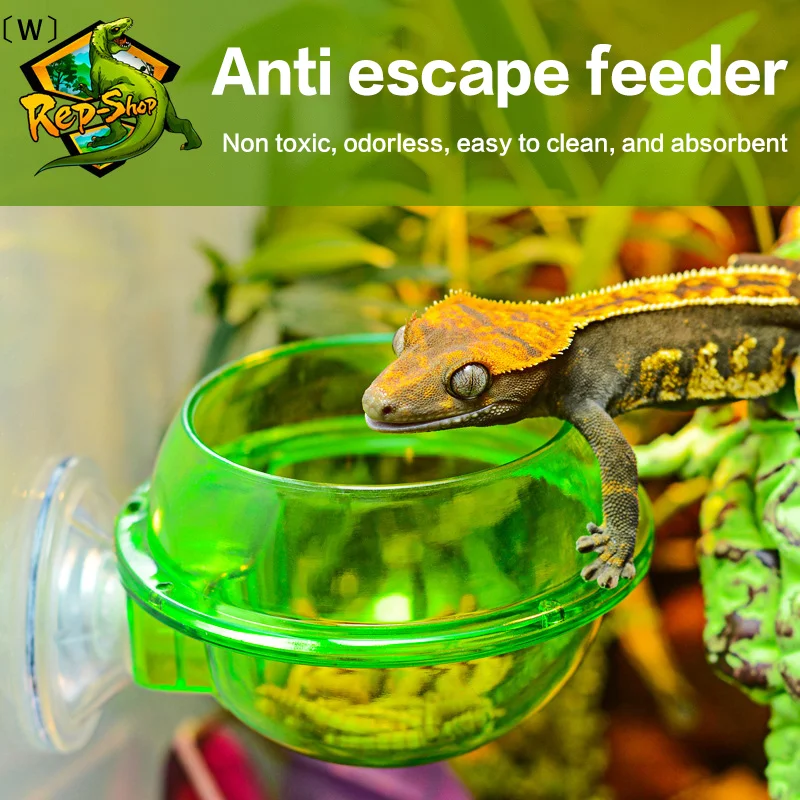 Tigela Alimentador para Répteis Arbóreos com Ventosa Anti-Escape - Imagem 4