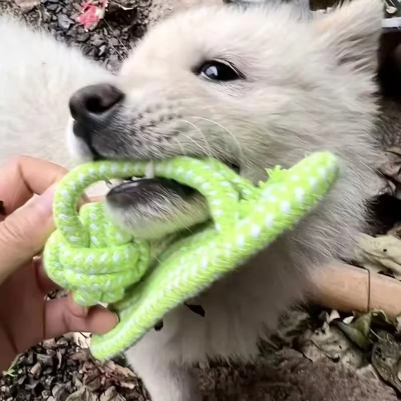 Brinquedo de Corda para Cães Pequenos de Algodão em Nó de Chinelo - Imagem 6